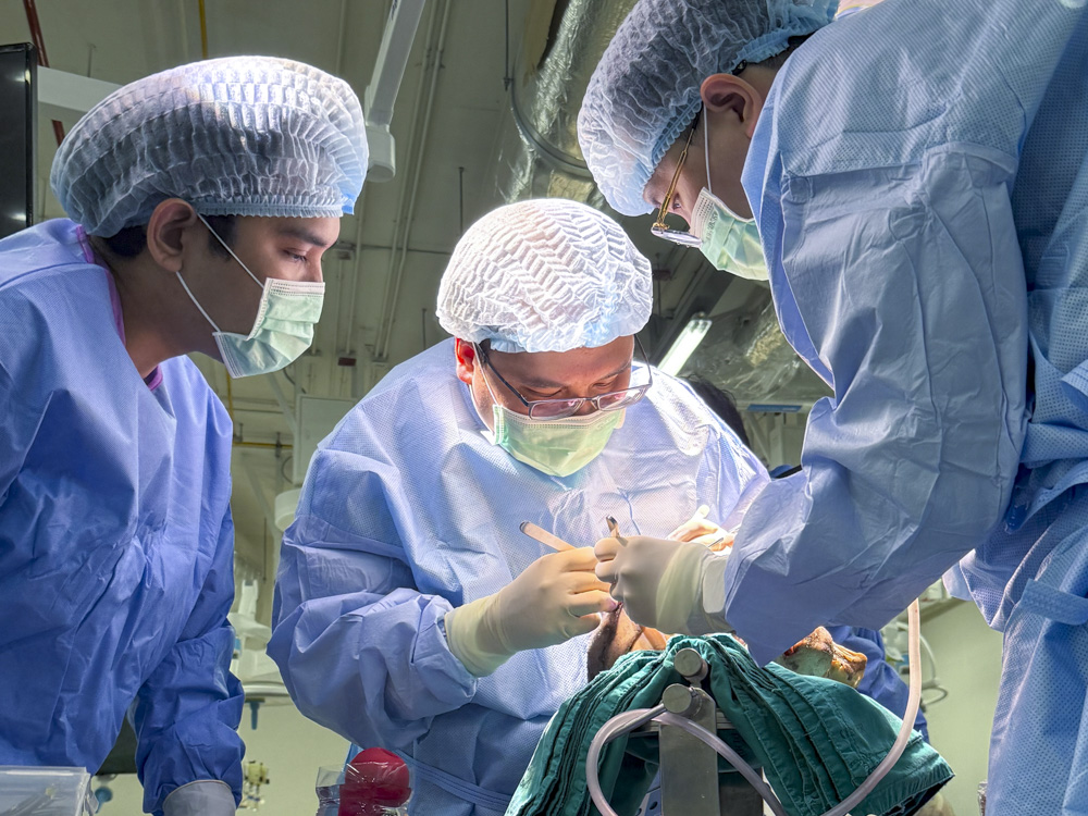 第12回 INERF–ASEAN 福島式 スカルベース・ハンズオン・カダバーディセクション・ワークショップ